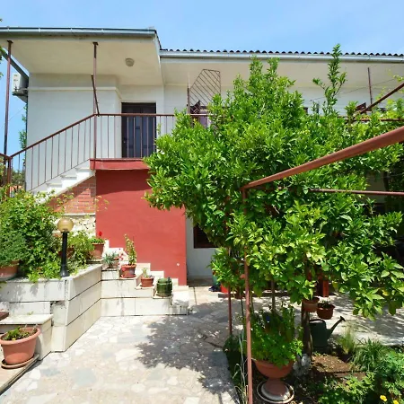 Zora.2 * Seget Vranjica